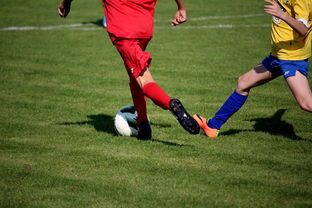 kaiyun中国官方网站-NBA球员训练计划优化设计，nba运动员训练计划