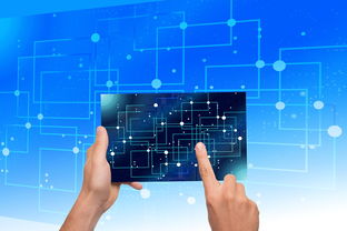 kaiyun-中国篮球教练员执教能力提升路径研究，中国篮球教练员岗位培训a级教程书籍